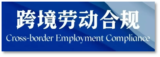 ceclexis.com